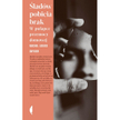 Rachel Louise Snyder: Śladów pobicia brak. W pułapce przemocy domowej. Fragment