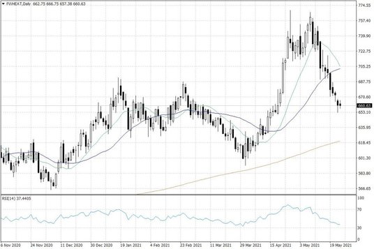 Notowania pszenicy w USA – dane dzienne