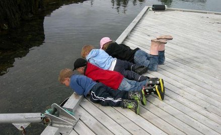 Kolonie z podatkiem VAT, półkolonie już bez