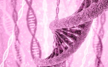 Modyfikacje genów: szansa dla medycyny, czy groźba dla świata