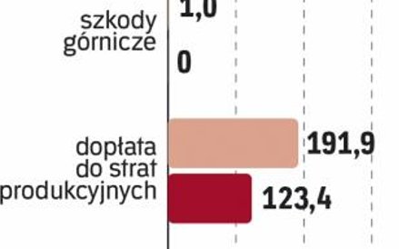 Budżet dopłaca do kopalń