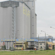 Słynny Elewarr do prokuratury