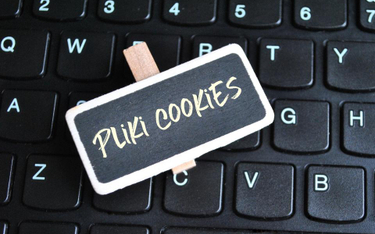 Pliki cookies a dane osobowe: sytuację może zmienić dopiero rozporządzenie ePrivacy