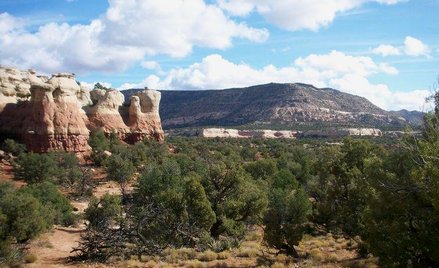 Sand Canyon