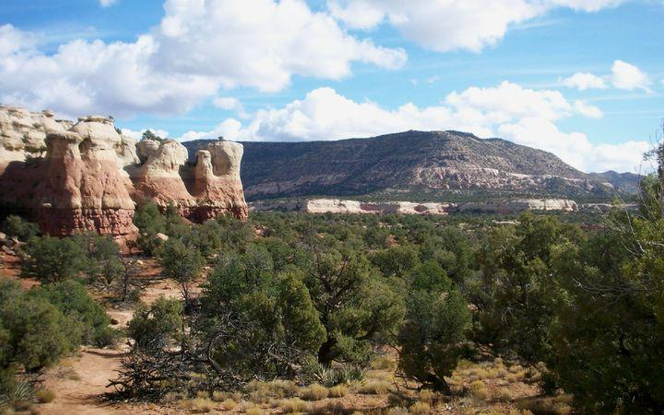 Sand Canyon