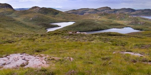 He spent $135 million to save a dying island. The results are impressive.