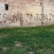 Prowokacja artysty. Odczepcie się od Rafała Betlejewskiego