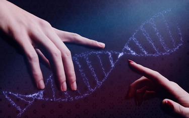 Geny mogą mieć wpływ na jakość związku