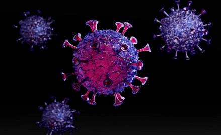 Marek Kobylański: strategia drugiej fali