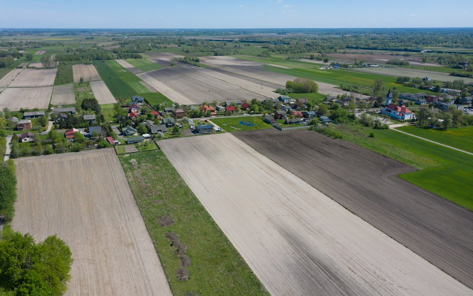 Baranów. Teren przyszłego Centralnego Portu Komunikacyjnego