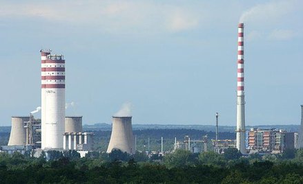 Po kilka rekomendacji „kupuj” lub „akumuluj” otrzymały w ostatnim czasie prawie wszystkie największe