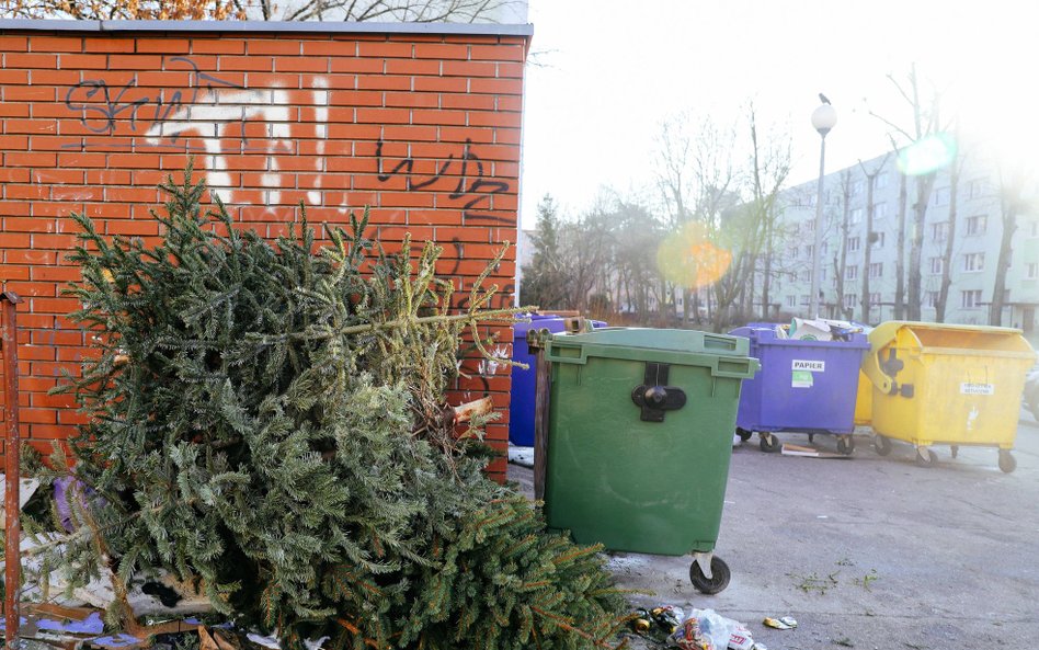 Co zrobić z choinką po świętach?