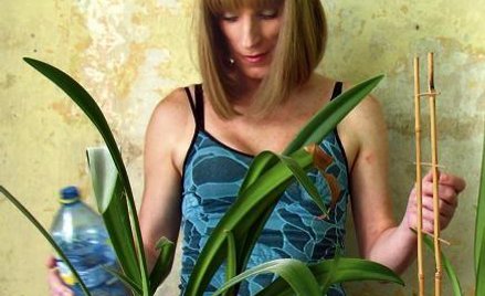 Piotr Wysocki, „Aldona”, fotografia, tryptyk, 2010