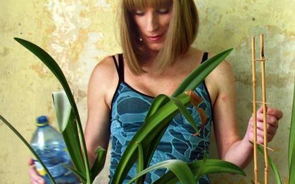 Piotr Wysocki, „Aldona”, fotografia, tryptyk, 2010