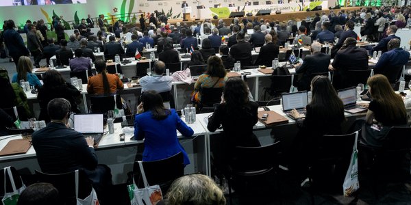 Eksperci nieświadomie szerzą dezinformację klimatyczną. Decyduje dobór słów