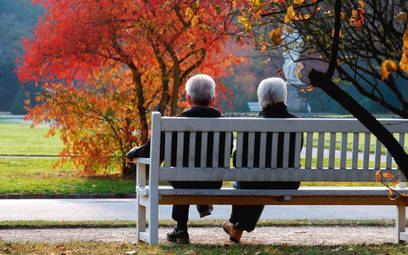 Mniej więcej za siedem lat w okresie emerytalnym będą już dwa wyże demograficzne.