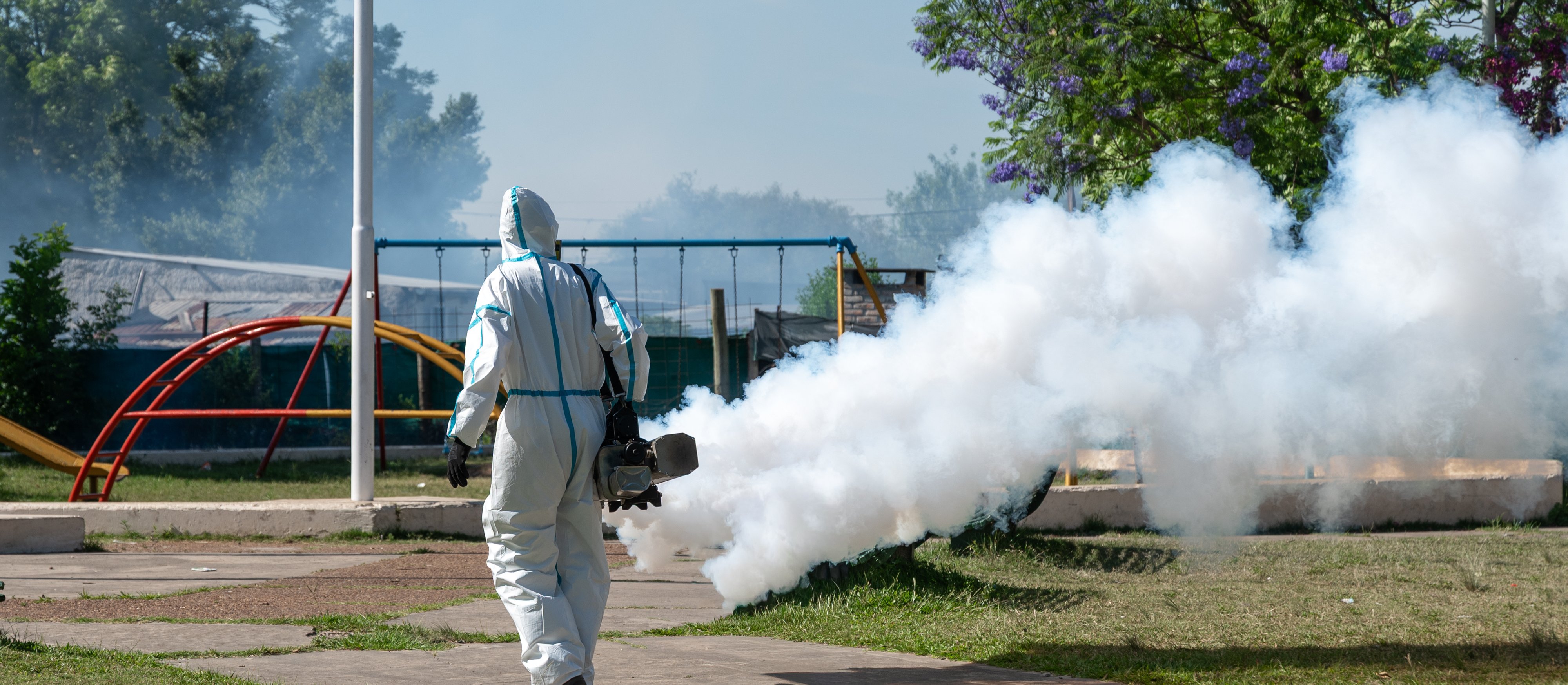 Zamykane są przedszkola i place zabaw. Na pomoc w walce z korowódką przybył chrząszcz uznany za wymarłego