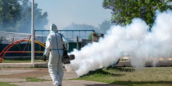 Uznany za wymarłego chrząszcz wrócił do Niemiec i walczy z korowódką