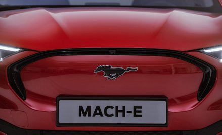 Ford Mustang jakiego nikt się nie spodziewał