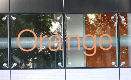 Wyniki przyćmiły wyrok sądu