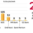 Meritum ma jedną z najmniejszych sieci placówek bankowych. Średniej wielkości banki mają ponad 100 o