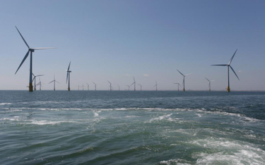 Nowe prawo dla morskich farm wiatrowych?
