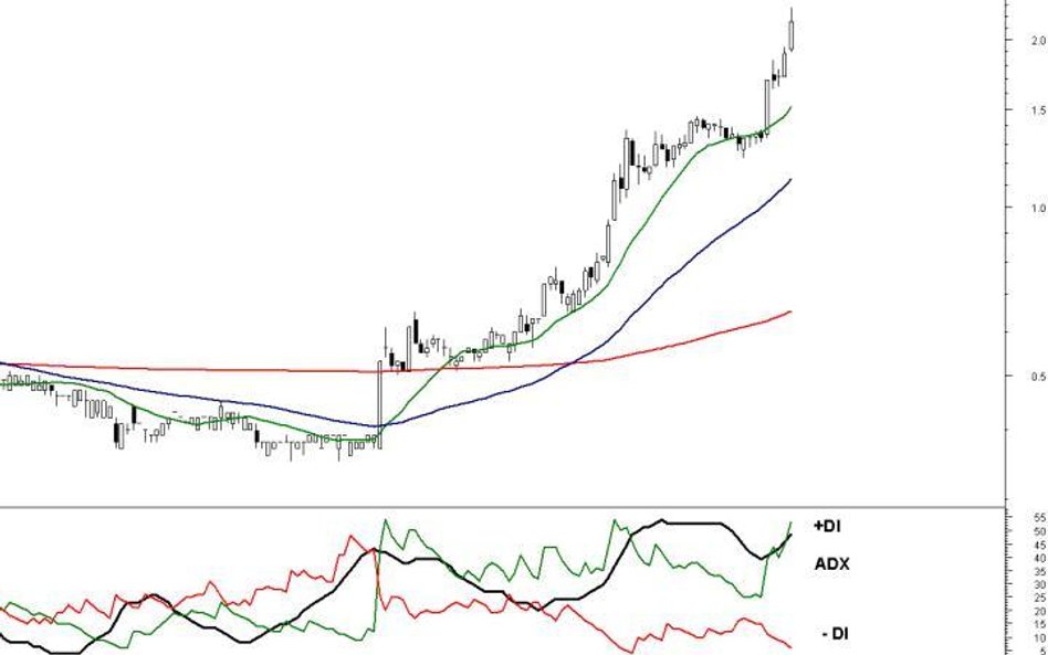 LST Capital