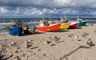 Rybacy alarmują: Morze Bałtyckie umiera