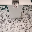 Photography Never Dies/ Tom Stayte