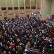 Sejm wyraził solidarność z Ukrainą. Przeciw tylko poseł Grzegorz Braun