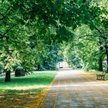 WSA: Łódzki park można nadal rewitalizować