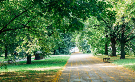 WSA: Łódzki park można nadal rewitalizować
