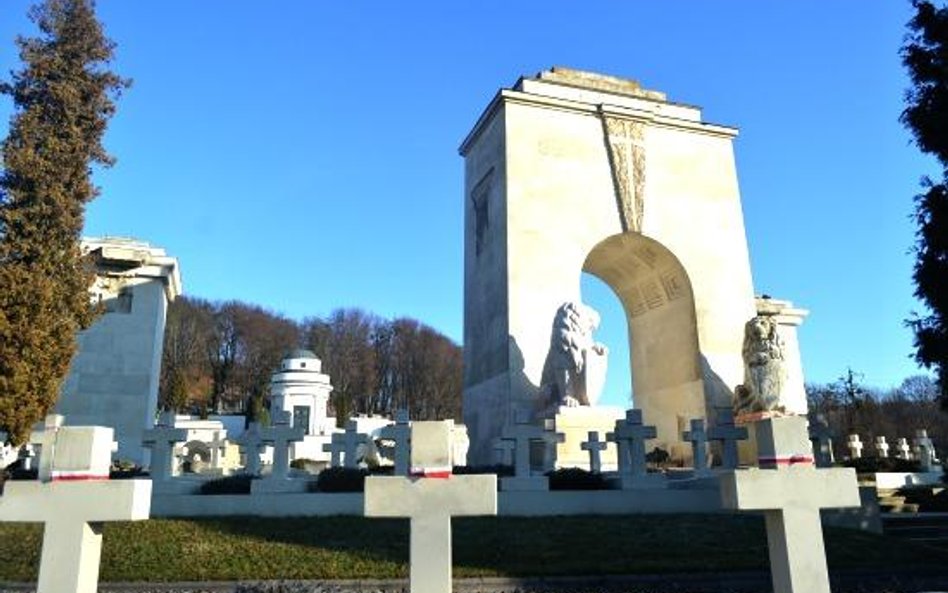 Rzeźby lwów powróciły na cmentarz Orląt