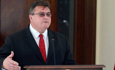 Linas Linkevičius, szef MSZ Litwy