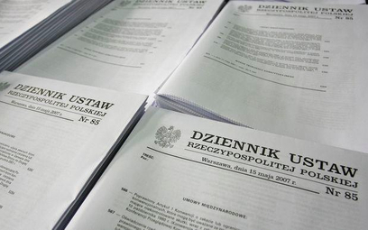 Sejm uchwalił w mijającym roku 171 ustaw.