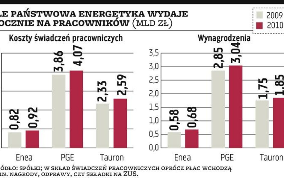 Bez dużych podwyżek płac w energetyce