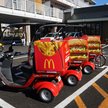McDonald's będzie sprzedawał w Japonii tylko małe porcje frytek