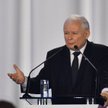 Zuzanna Dąbrowska: Prezes jak tenor w piątym akcie