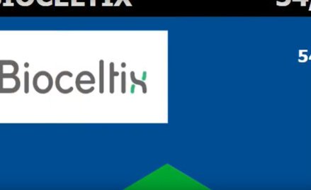 Bioceltix o emisji akcji