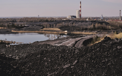 Węgla w tym roku polskie kopalnie mogą wydobyć maksymalnie ok. 500 tys. ton więcej względem roku pop