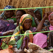 Nigeria: Uchodźcy umierają z głodu