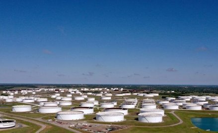 Będzie zakaz importu do USA?