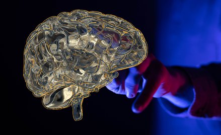 Pojedyncze neurony są potężnymi procesorami informacji i mogą z łatwością przekazywać więcej niż 10 