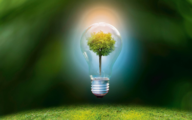 Zielona odbudowa wymaga efektywności – energetycznej i surowcowej
