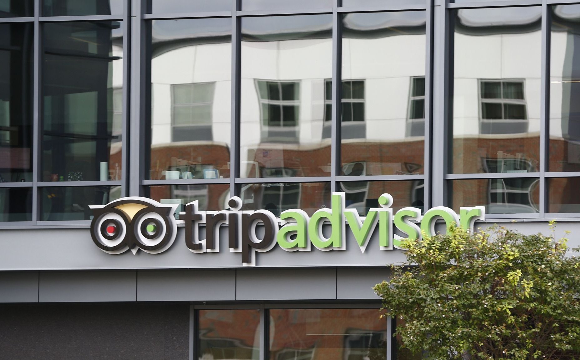 Tripadvisor pod presją inwestora, który wzywa do zmian w zarządzie