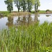 Dawny plan uchroni przed płaceniem gminie