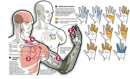 Prawdziwe czucie w sztucznej ręce
