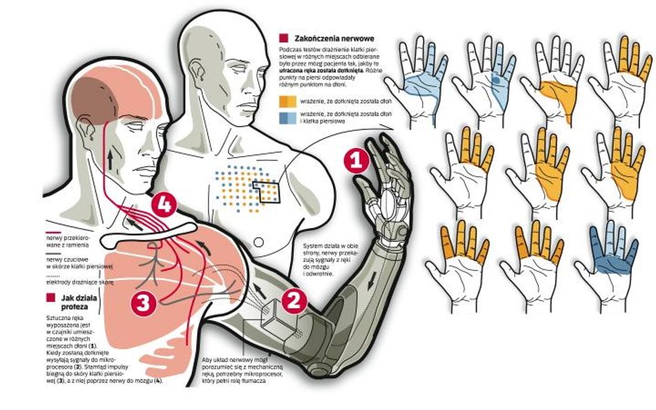 Prawdziwe czucie w sztucznej ręce