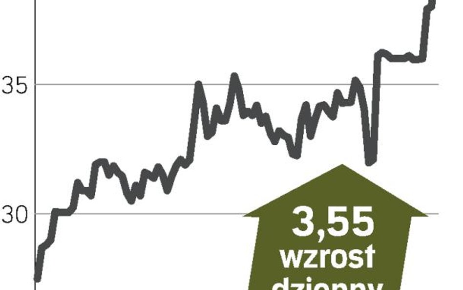 List intencyjny od Acronu podbił cenę Azotów Tarnów