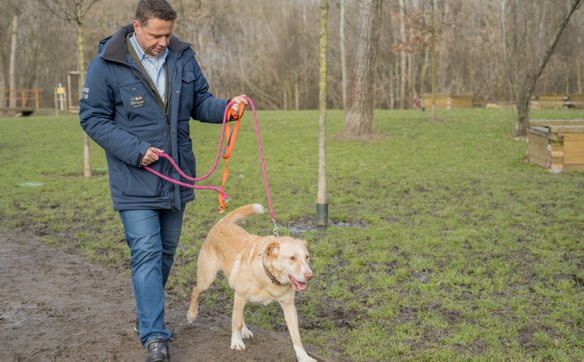 Rozbudowa Schroniska na Paluchu miała zakończyć się w 2024 roku. W Warszawie argumentem hamującym zm